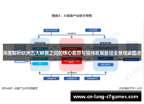深度解析欧洲五大联赛之间的核心差异与独特发展脉络全景观察图谱